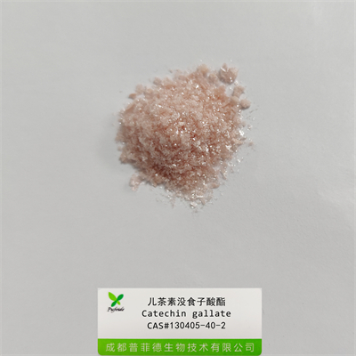 兒茶素沒(méi)食子酸酯|130405-40-2